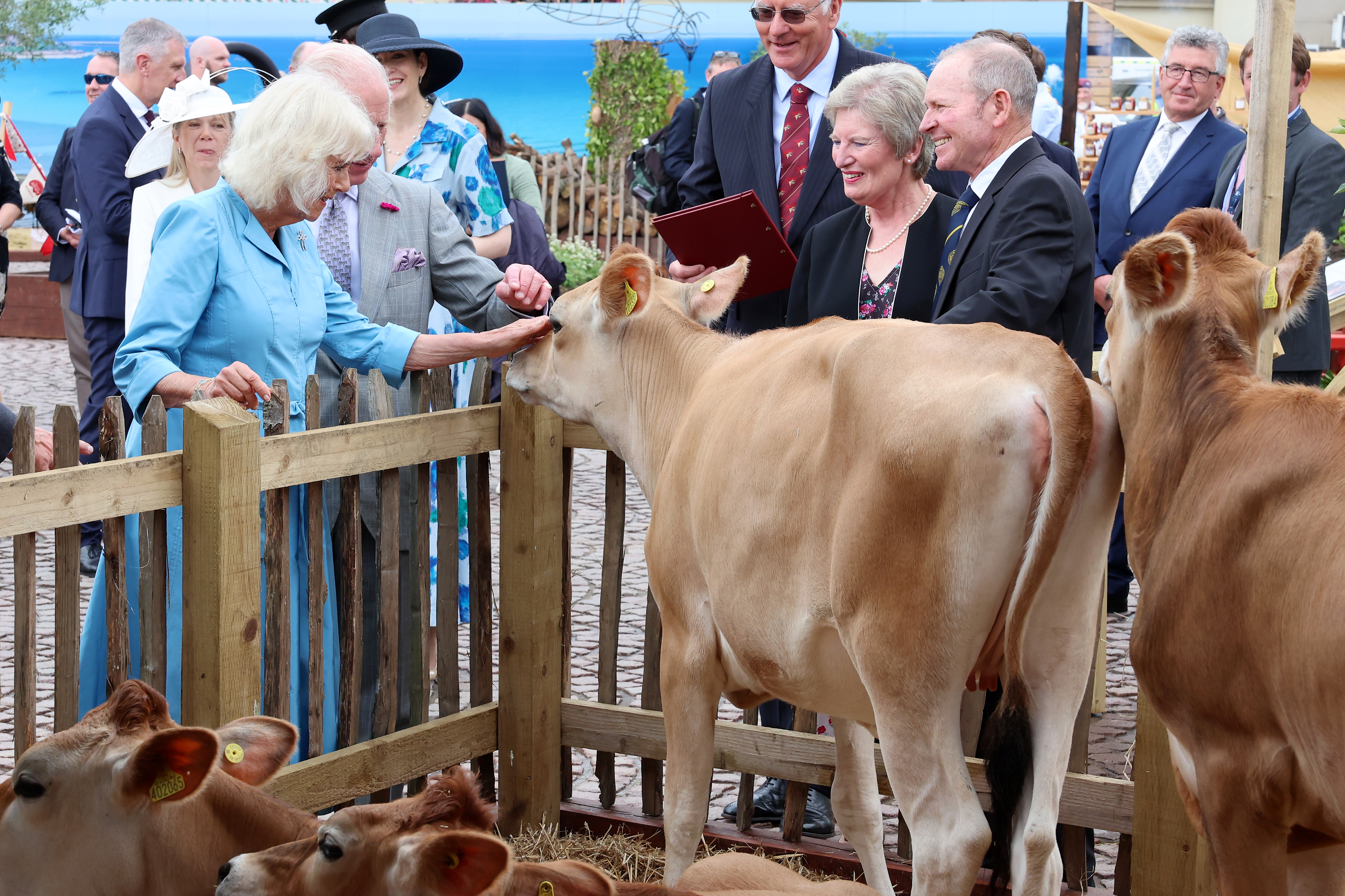 Королева Камилла посещает выставку Jersey Expo в Weighbridge Place во время официального визита в Джерси 15 июля.