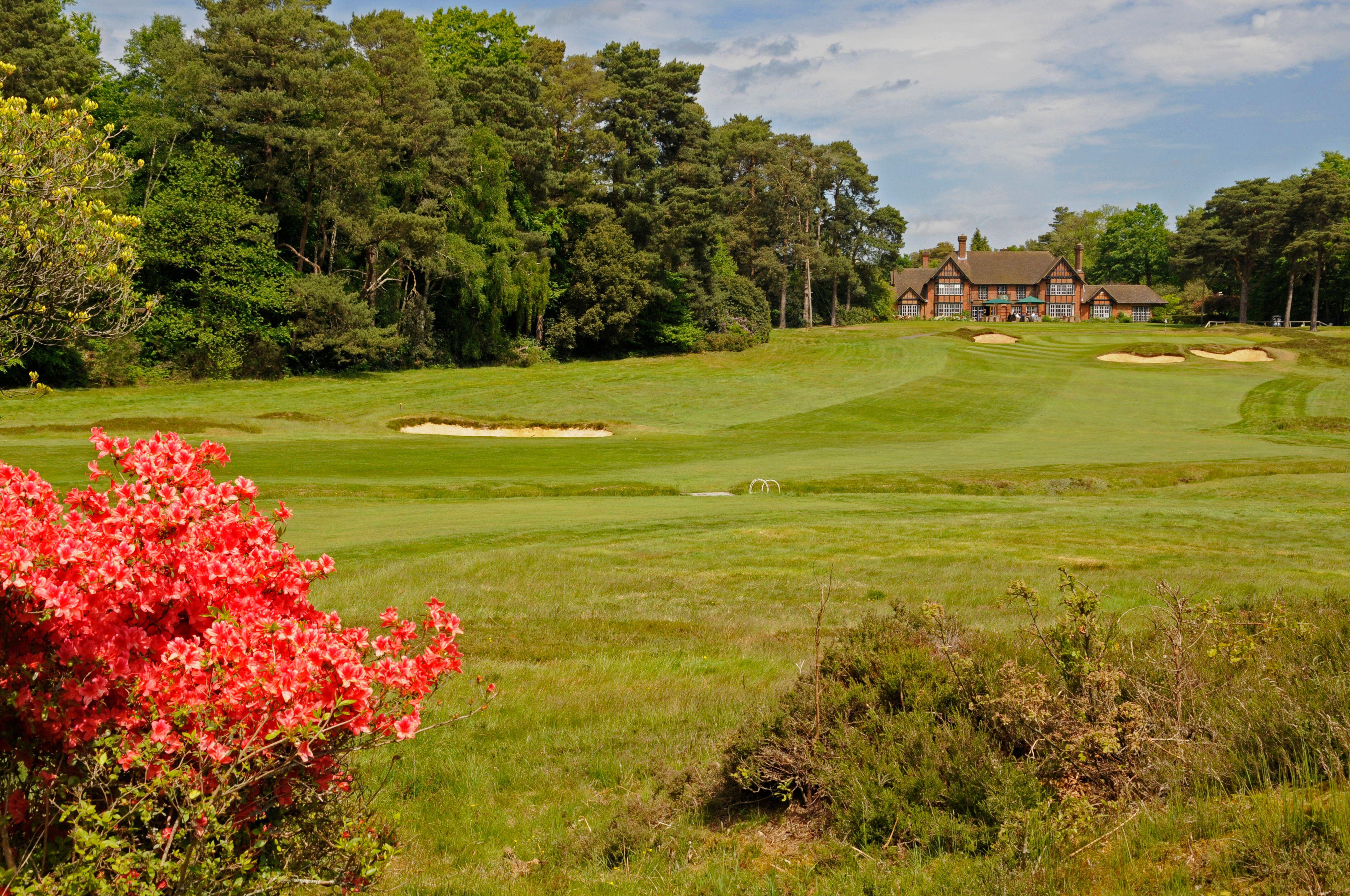 Эндрю регулярно посещает гольф-клуб Swinley Forest Golf Club в Уинкфилд-Роу недалеко от Аскота.